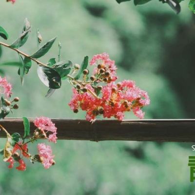 Welcome彩票中心注册大厅进入