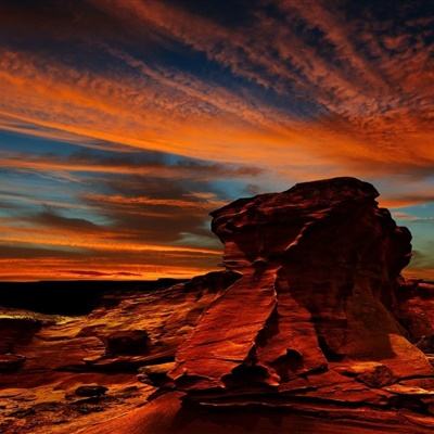 波胆app官网下载手机版